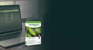How you can Purchase Webroot Activation?