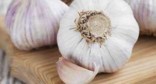 Receive the Best Services for your Venture with Organic Garlic Distributor in Argentina