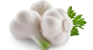 Improve your Heart and Circulation Method with Garlic Suppliers