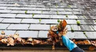 Maintain the Structural Integrity of Your Roof with Gutters cleaning London