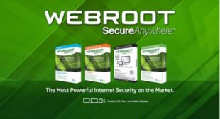 How Can I Download My Webroot Products?