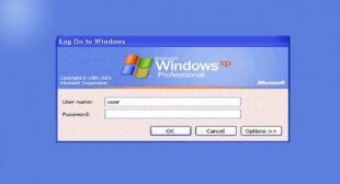 Can Windows XP Be Hacked?