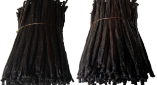 Essence the Variety Of Tastes with Tahitian Vanilla Beans