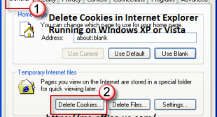How Can I Delete Cookies in Internet Explorer Running on Windows XP or Vista?