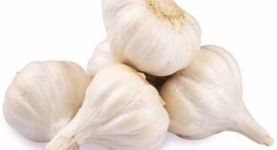 Get Essential Vitamins and Minerals with the Help of Garlic Suppliers