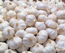 Amplify your health and add flavor to your recipes with organic garlic supplier