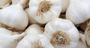 Get Fresh Garlics to make your Recipes Healthier