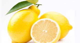 Turn your Boring Foods into Flavor some Dishes with Lemon Distributors