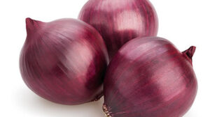 Sniff out The Deliciousness In your Food with Onion Supplier