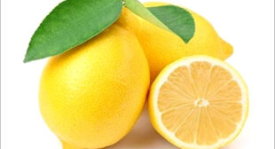 Enjoy Lemony Love in Your Food with Lemon Distributors