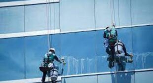 Delegating Maintenance Tasks with Window cleaners London
