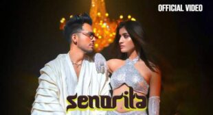 Senorita Lyrics by Tony Kakkar