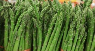 Elevate Dining Experiences With Asparagus Suppliers