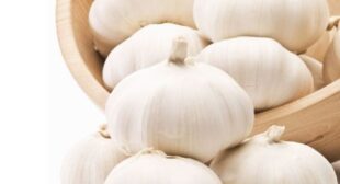 Suit your Precise Needs with Garlic Suppliers