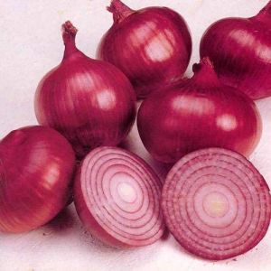 The Positive Effects of Onions on Your Health