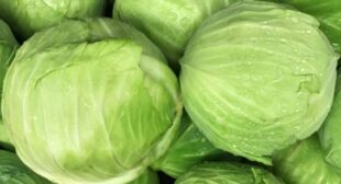 Check Out These Tips To Store Cabbage