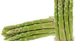 Asparagus Suppliers Fulfilling The Growing Demand