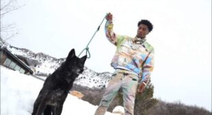 Wolf Cry Song Lyrics