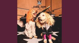 Bernadette Song Lyrics