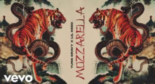 Lyrics of Mozzarella Song