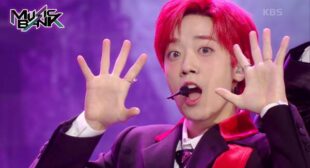 검은 고양이 네로 (The Black Cat Nero) Song Lyrics