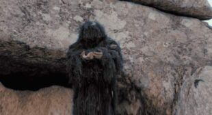 7 vidas (English Translation) Song Lyrics