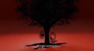 Apprends-Moi Song Lyrics