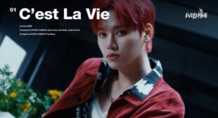 Cest La Vie (English Translation) Song Lyrics