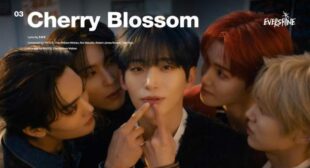 Cherry Blossom (Romanized) Song Lyrics