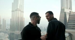 Dommage (English Translation) Song Lyrics