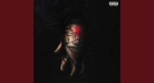 Gata Only (English Translation) Song Lyrics