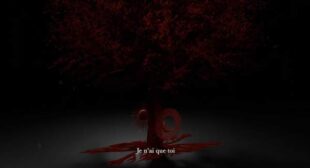 Je Nai Que Toi (English Translation) Song Lyrics