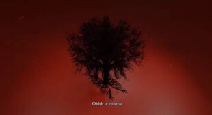 Le contrat Song Lyrics