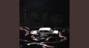 Light Headed Song Lyrics