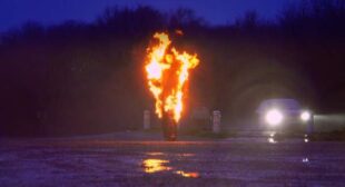 MOSSY COBBLESTONE (English Translation) Song Lyrics