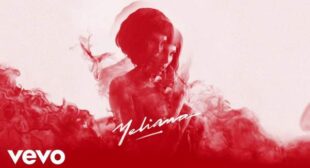 Si Te Hubiera (English Translation) Song Lyrics