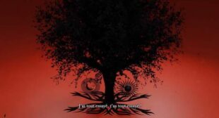 TOUT essayer ? (English Translation) Song Lyrics