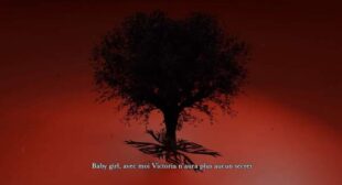 Victoria Secret Lyrics – Dadju