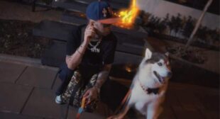 Wakaflocka (English Translation) Song Lyrics