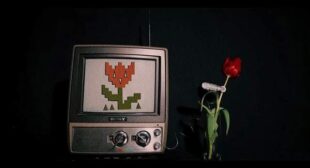 Garden Jargon Song Lyrics