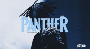 PANTHER (English Translation) Song Lyrics