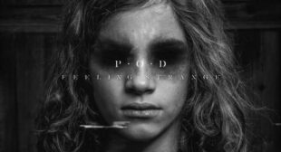 FEELING STRANGE Lyrics