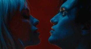 Love Bites Lyrics
