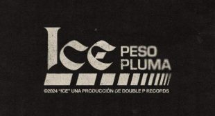 ICE (English Translation) Lyrics