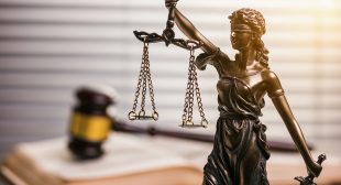 The Role of Criminology in Informing Law Enforcement and Legal Frameworks!