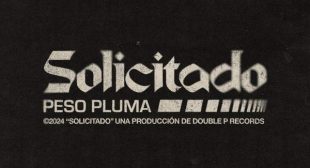 SOLICITADO (English Translation) Lyrics