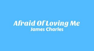 Lyrics of Afraid Of Loving Me Song