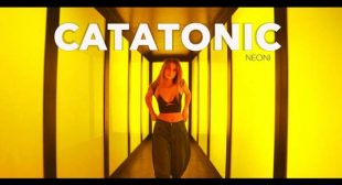 Catatonic Song Lyrics