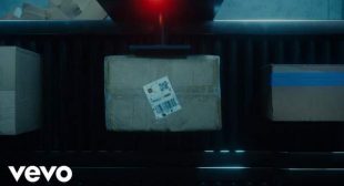 DIVIDO COSE Song Lyrics