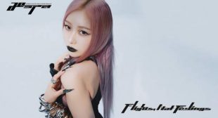 Flights, Not Feelings (Romanized) Song Lyrics